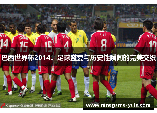 巴西世界杯2014：足球盛宴与历史性瞬间的完美交织